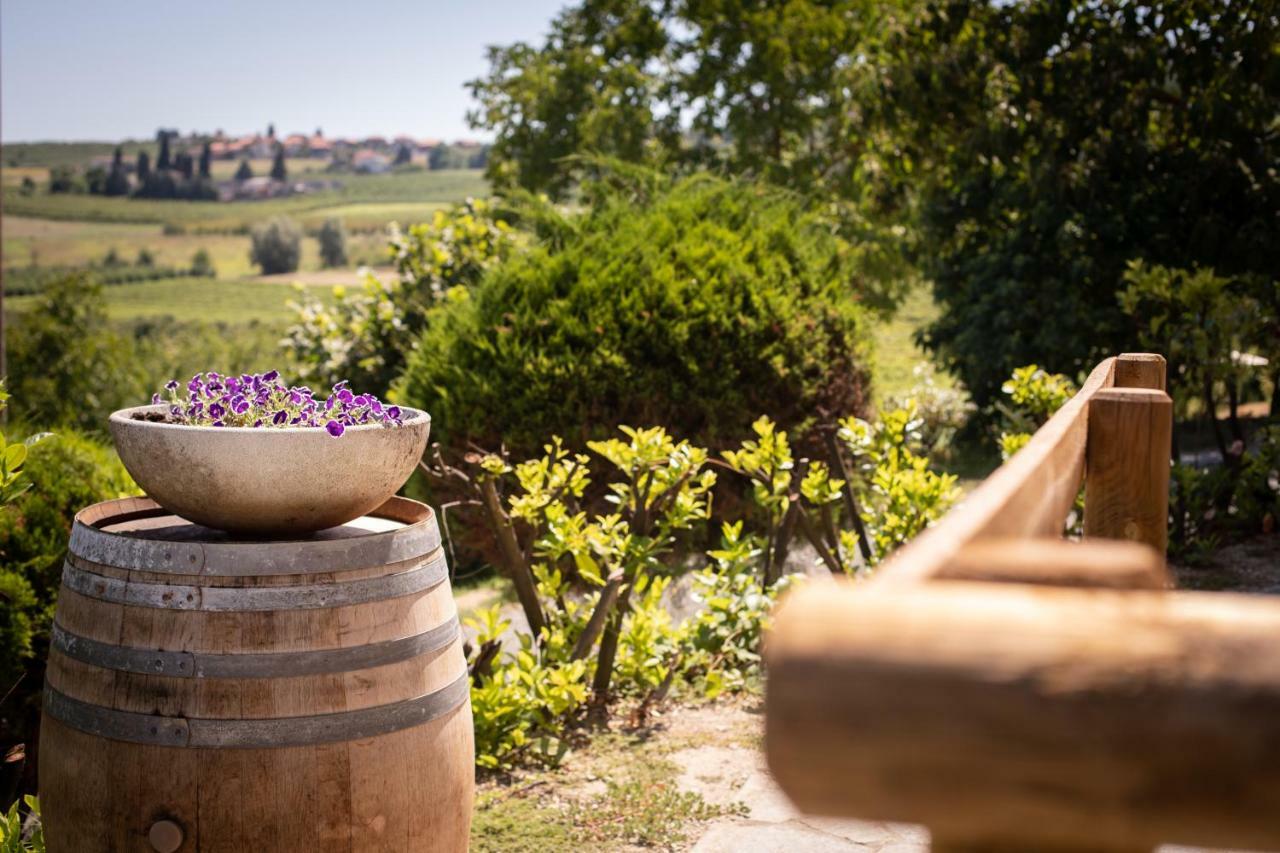 Villa Vinory - Tenuta Il Sogno San Marzano Oliveto Exterior photo